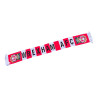 Wrexham AFC Striped Scarf