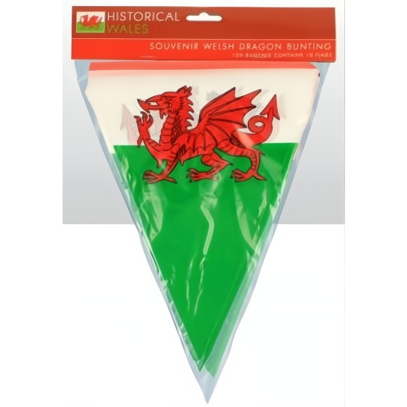 Welsh Dragon PVC Triangular Bunting 10 Flags 12ft