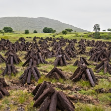Cappabane Irish Turf Peat Fire Logs (14–16 Sods)