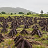 Cappabane Irish Turf Peat Fire Logs (14–16 Sods)