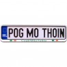 Pog Mo Thoin Irish Car Registration Plate