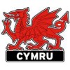 Wales Dragon CYMRU Magnet