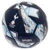 Tottenham Hotspur FC Soccer Ball