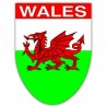 Wales Flag Shield Sticker